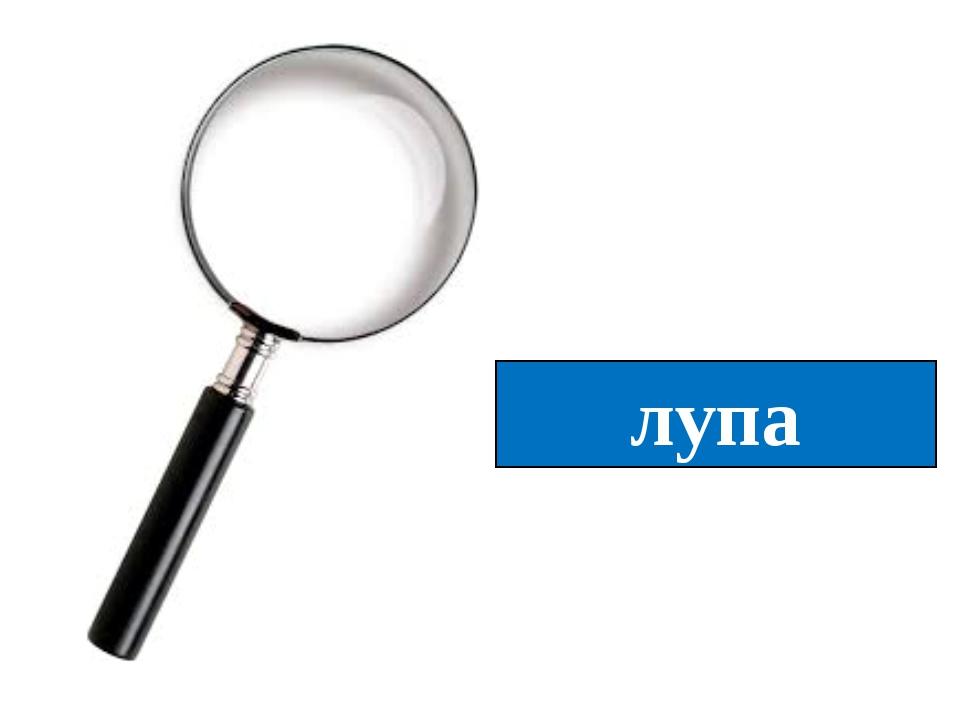 лупа