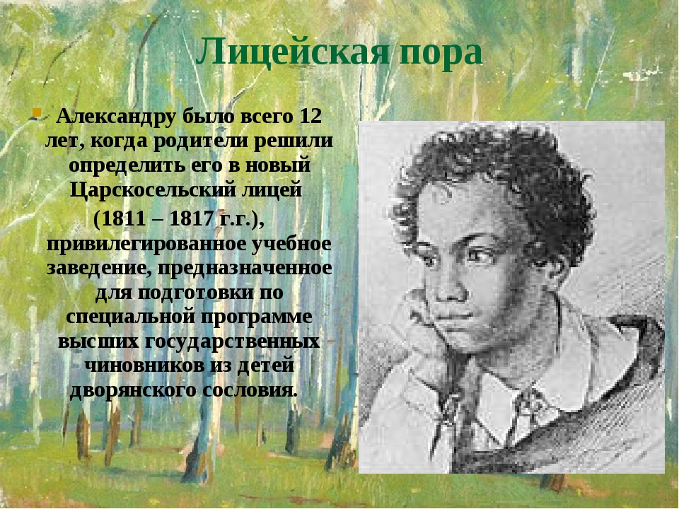 Лицейская пора Александру было всего 12 лет, когда родители решили определить его в новый Царскосельский лицей (1811 – 1817 г.г.), привилегированно... Лицейская пора Александру было всего 12 лет, когда родители решили определить его в новый Царскосельский лицей (1811 – 1817 г.г.), привилегированно...