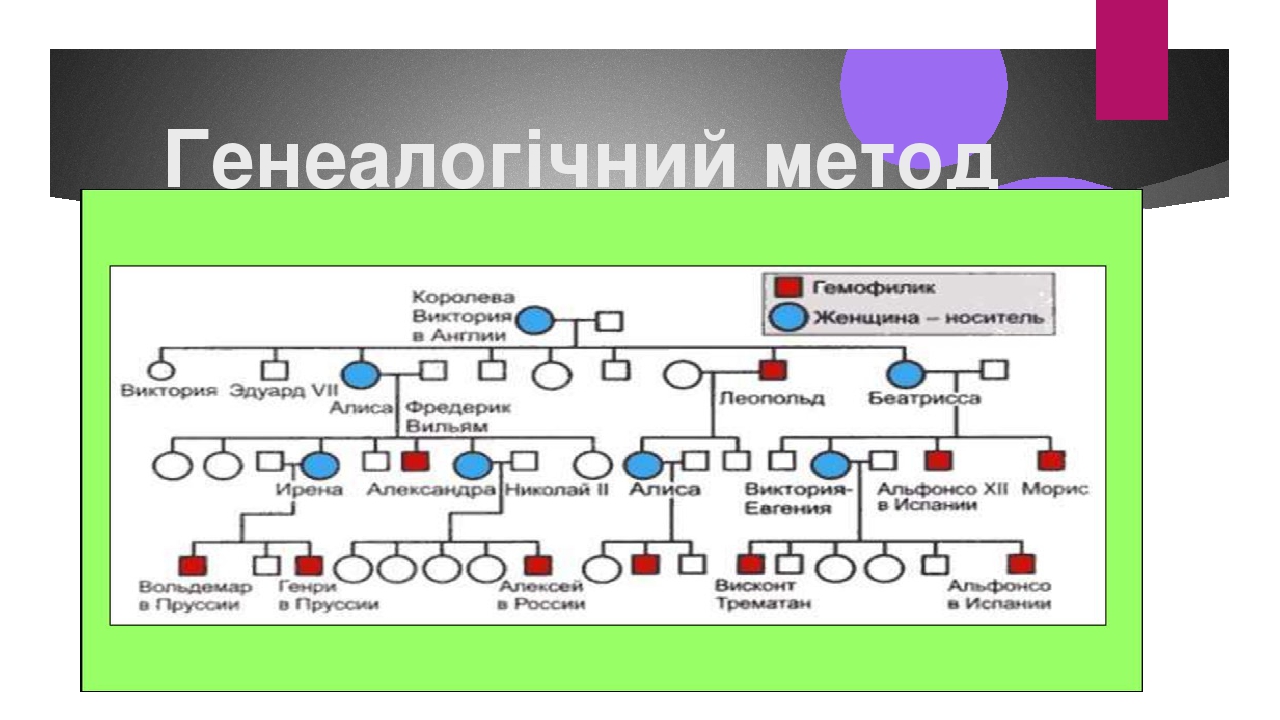 Генеалогічний метод.