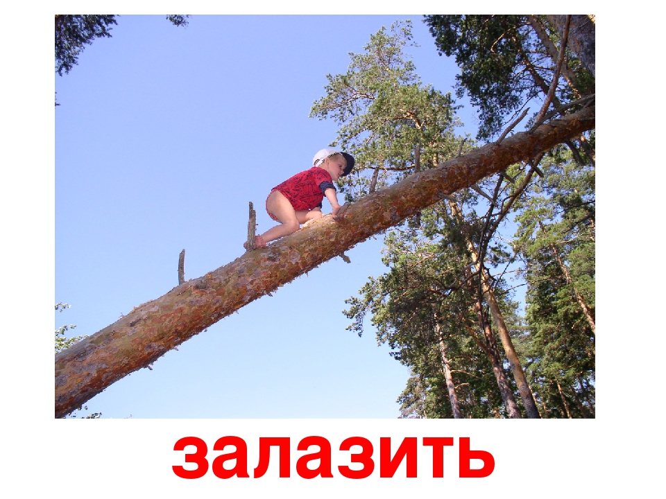 Взбираться на дерево. Человек залез на дерево. Залезать залазить. Карабкаться или взбираться.