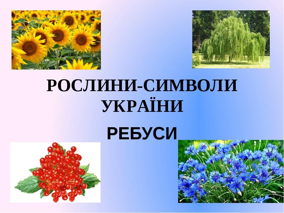 РОСЛИНИ-СИМВОЛИ УКРАЇНИ РЕБУСИ