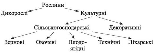 Картинки по запросу "групи сільськогосподарських рослин"