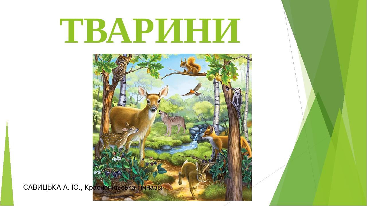 ТВАРИНИ САВИЦЬКА А. Ю., Краснопільська гімназія