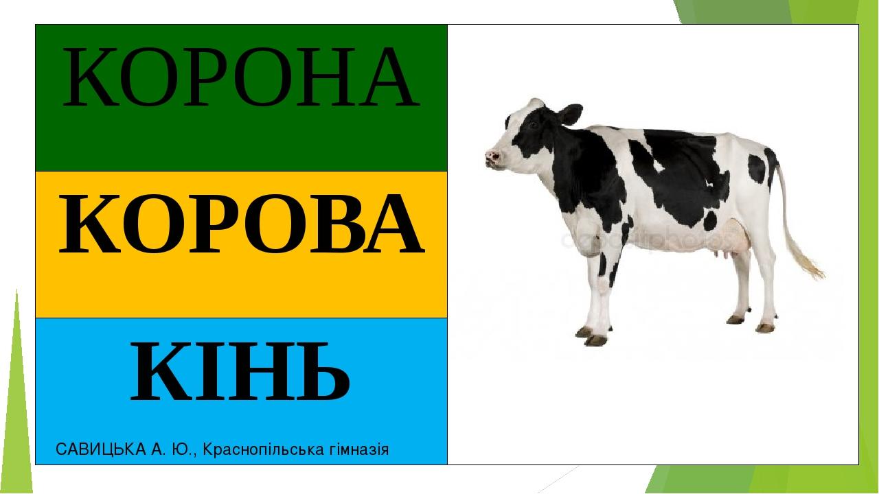 САВИЦЬКА А. Ю., Краснопільська гімназія КОРОНА КОРОВА КІНЬ