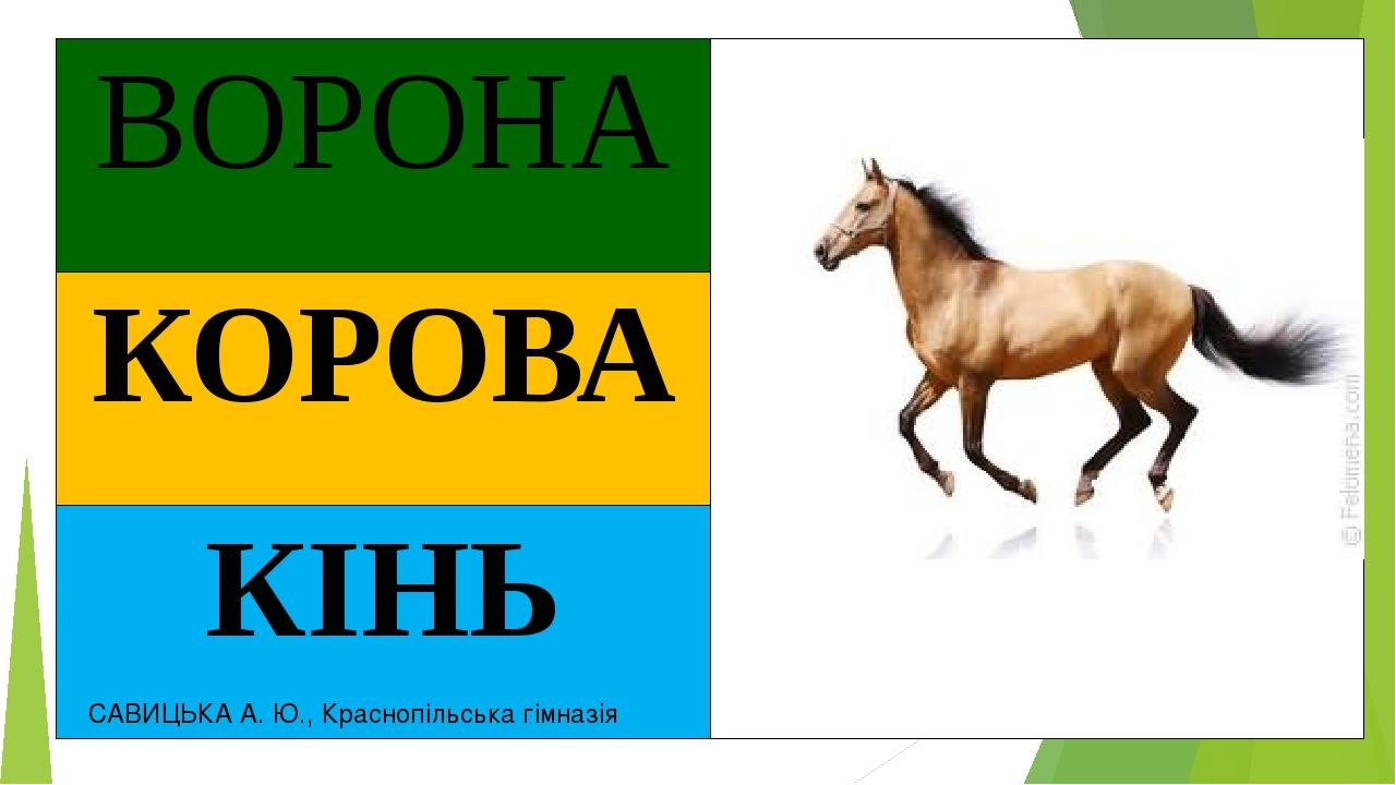 САВИЦЬКА А. Ю., Краснопільська гімназія ВОРОНА КОРОВА КІНЬ