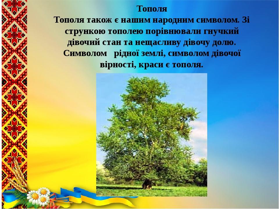 Тополя Тополя також є нашим народним символом. Зі стрункою тополею порівнювали гнучкий дівочий стан та нещасливу дівочу долю. Символом   рідної зем...