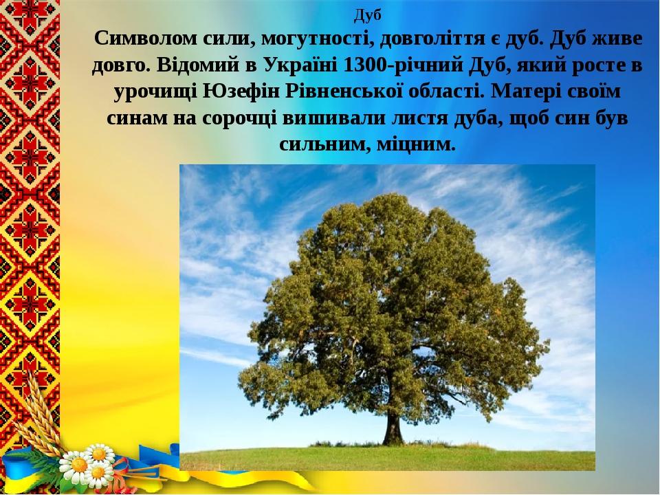 Дуб Символом сили, могутності, довголіття є дуб. Дуб живе довго. Відомий в Україні 1300-річний Дуб, який росте в урочищі Юзефін Рівненської області...