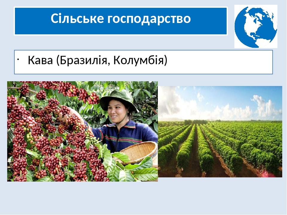 Сільське господарство Кава (Бразилія, Колумбія)