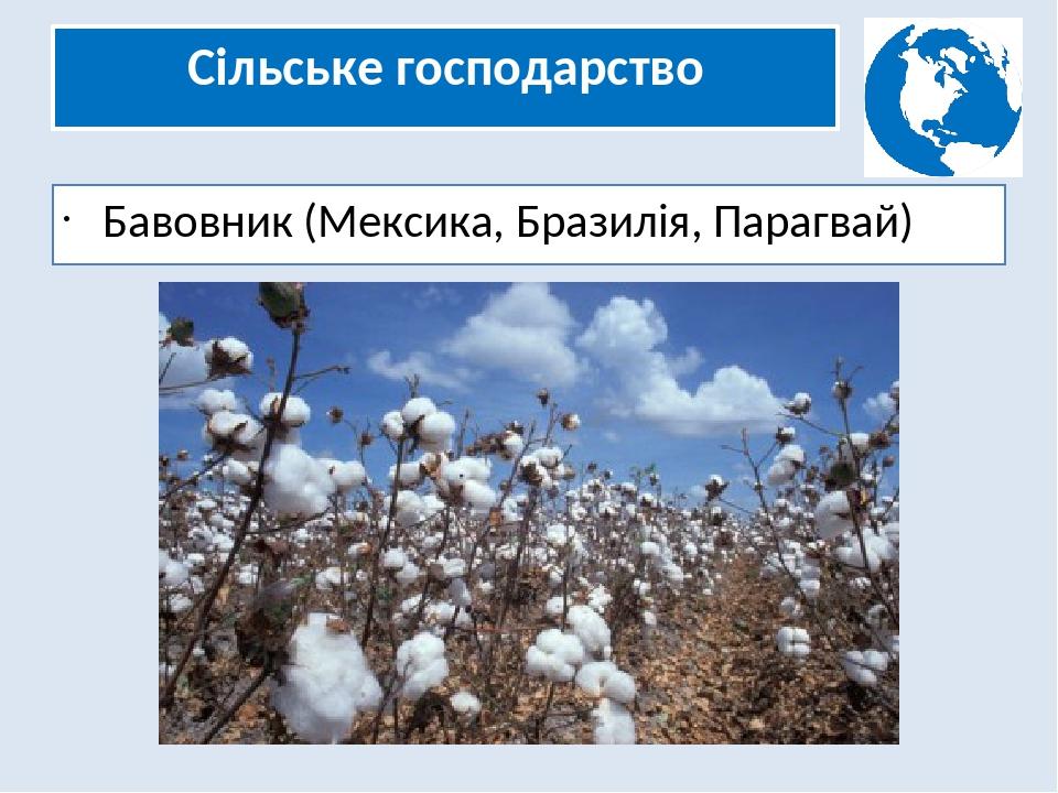 Сільське господарство Бавовник (Мексика, Бразилія, Парагвай)