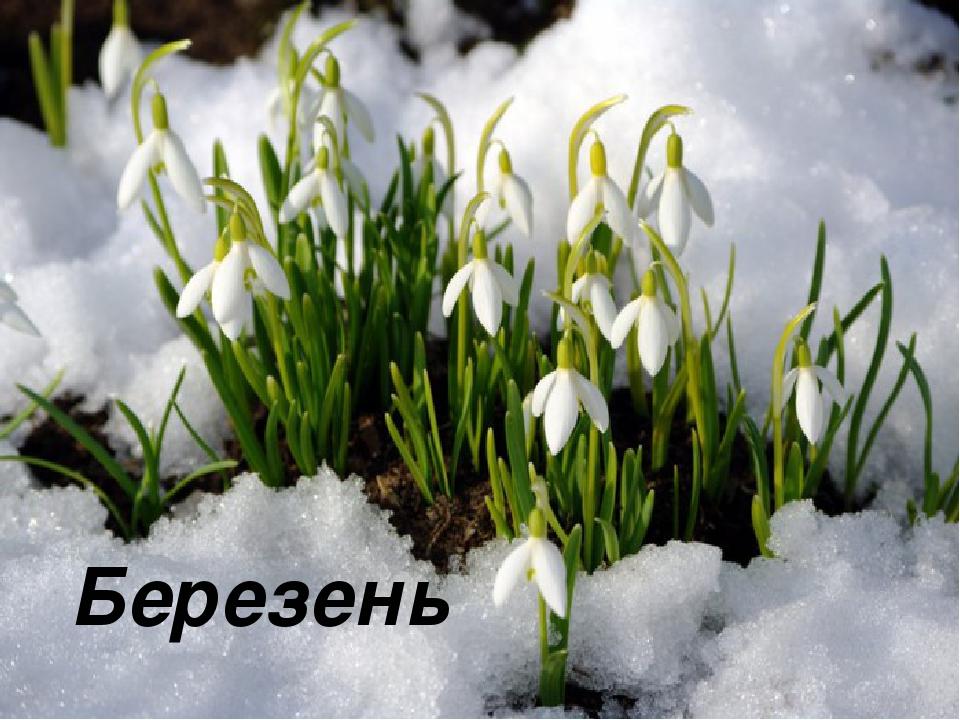 Презетація до уроку."Весна та її ознаки. Весняні місяці."