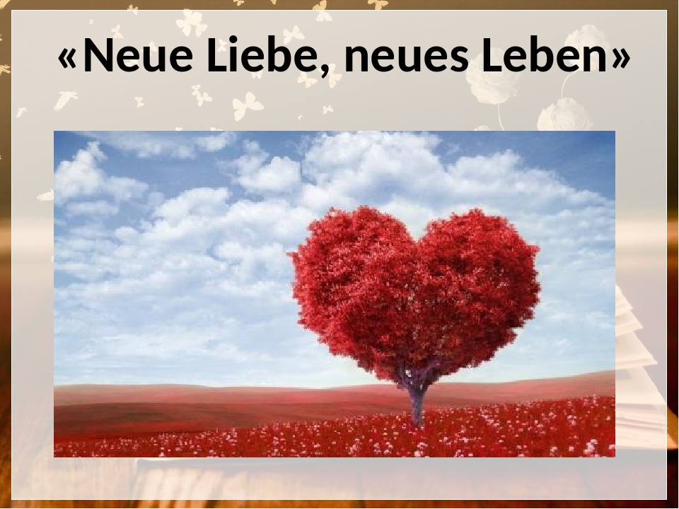 Neue Liebe Neues Leben Goethe Rhetorische Mittel Johann Wolfgang von Goethe