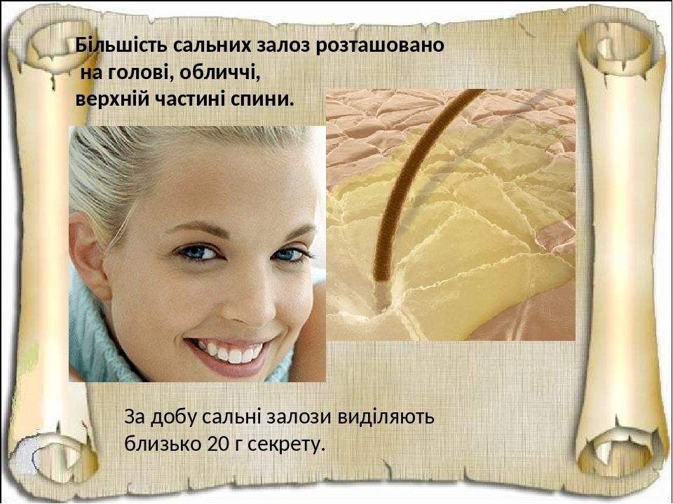 Більшість сальних залоз розташовано на голові, обличчі, верхній частині спини. За добу сальні залози виділяють близько 20 г секрету.