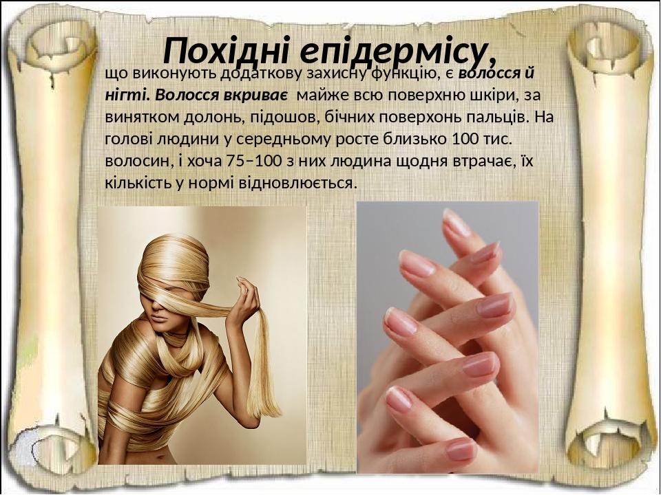 Похідні епідермісу, що виконують додаткову захисну функцію, є волосся й нігті. Волосся вкриває майже всю поверхню шкіри, за винятком долонь, підошо...