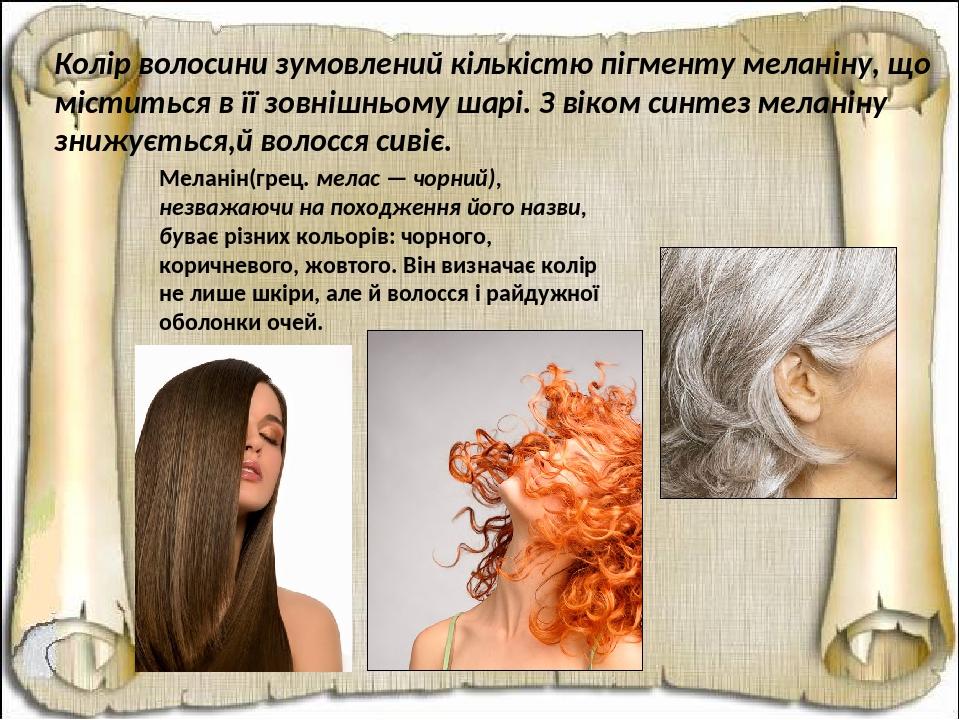 Колір волосини зумовлений кількістю пігменту меланіну, що міститься в її зовнішньому шарі. З віком синтез меланіну знижується,й волосся сивіє. Мела...