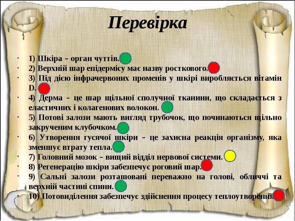 Перевірка 1) Шкіра – орган чуттів. 2) Верхній шар епідермісу має назву росткового. 3) Під дією інфрачервоних променів у шкірі виробляється вітамін ...