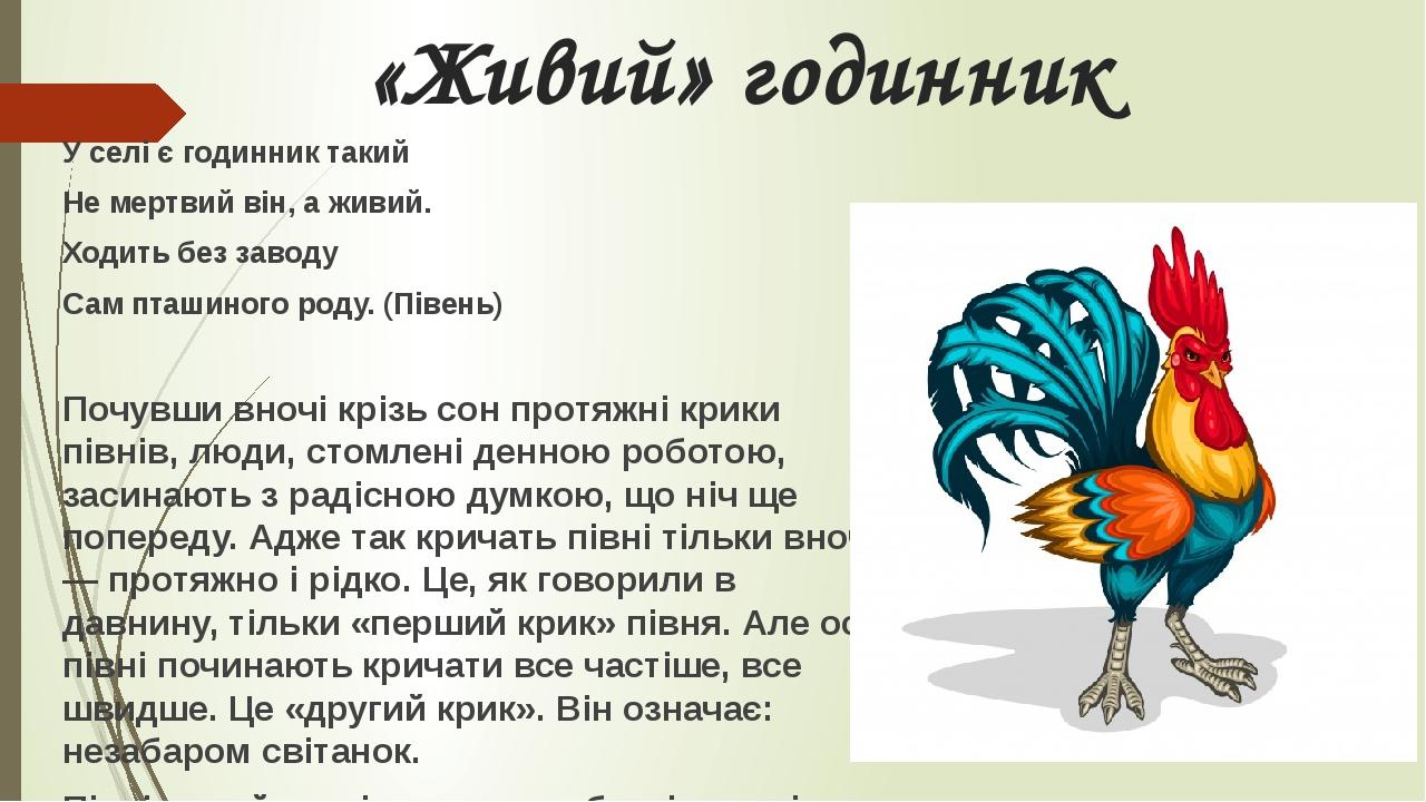 «Живий» годинник У селі є годинник такий Не мертвий він, а живий. Ходить без заводу Сам пташиного роду. (Півень) Почувши вночі крізь сон протяжні к...