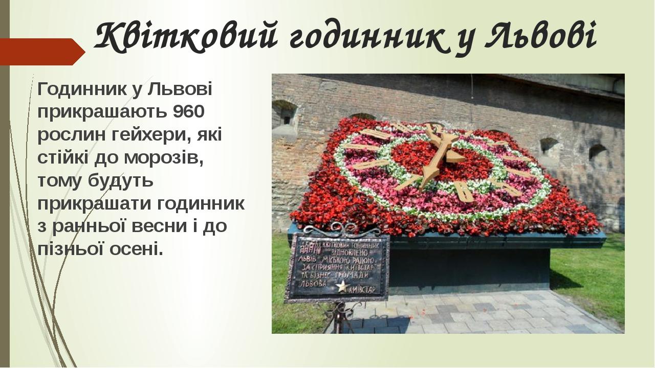 Квітковий годинник у Львові Годинник у Львові прикрашають 960 рослин гейхери, які стійкі до морозів, тому будуть прикрашати годинник з ранньої весн...