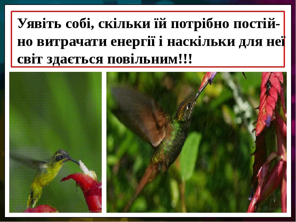Уявіть собі, скільки їй потрібно постій-но витрачати енергії і наскільки для неї світ здається повільним!!!