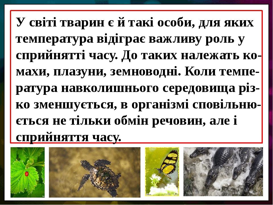 У світі тварин є й такі особи, для яких температура відіграє важливу роль у сприйнятті часу. До таких належать ко-махи, плазуни, земноводні. Коли т...