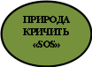 Овал 6