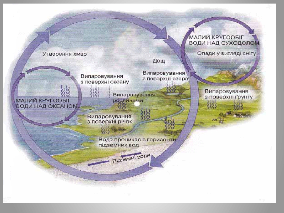 Схема екосистеми річки