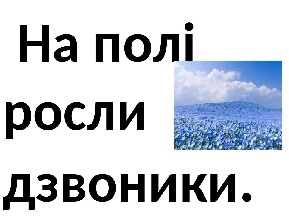 На полі росли дзвоники.