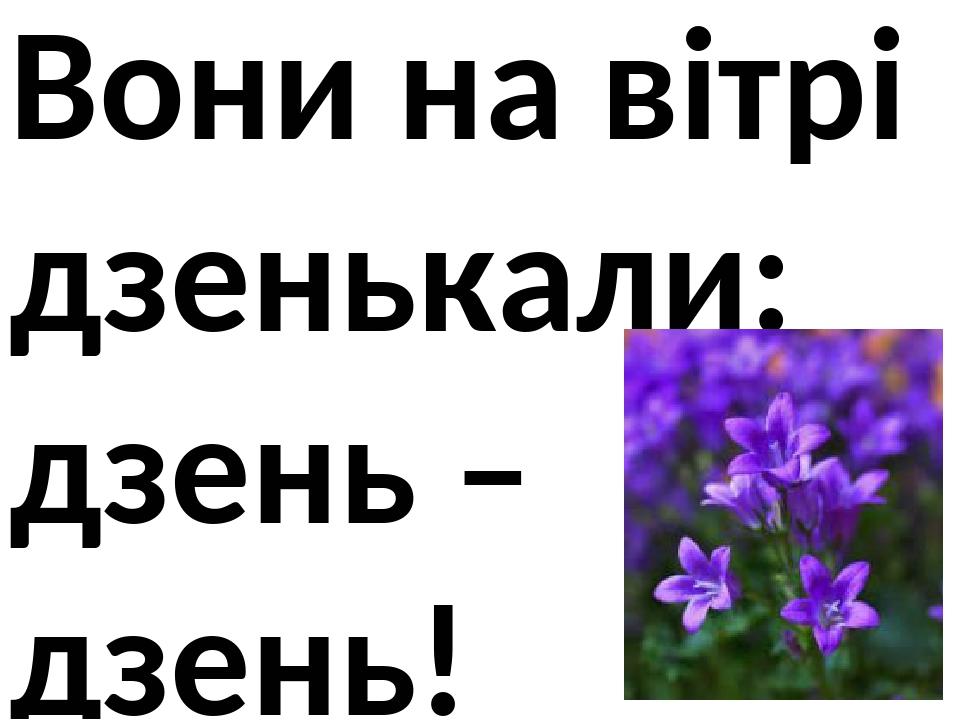 Вони на вітрі дзенькали: дзень – дзень!