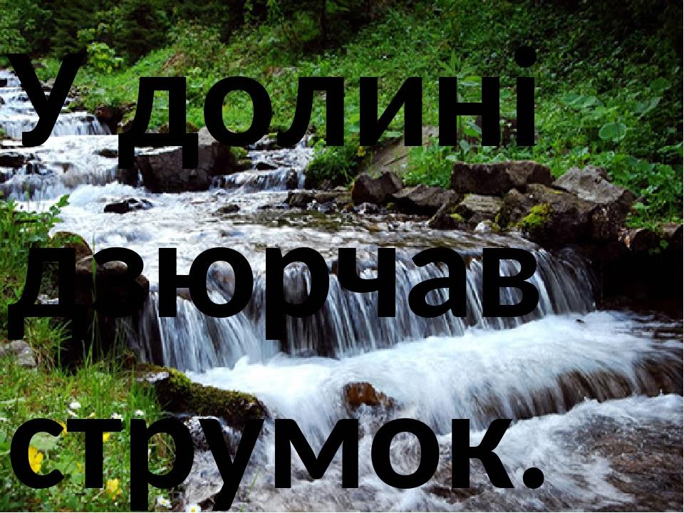 У долині дзюрчав струмок.