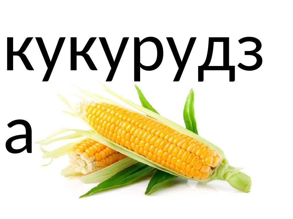 кукурудза