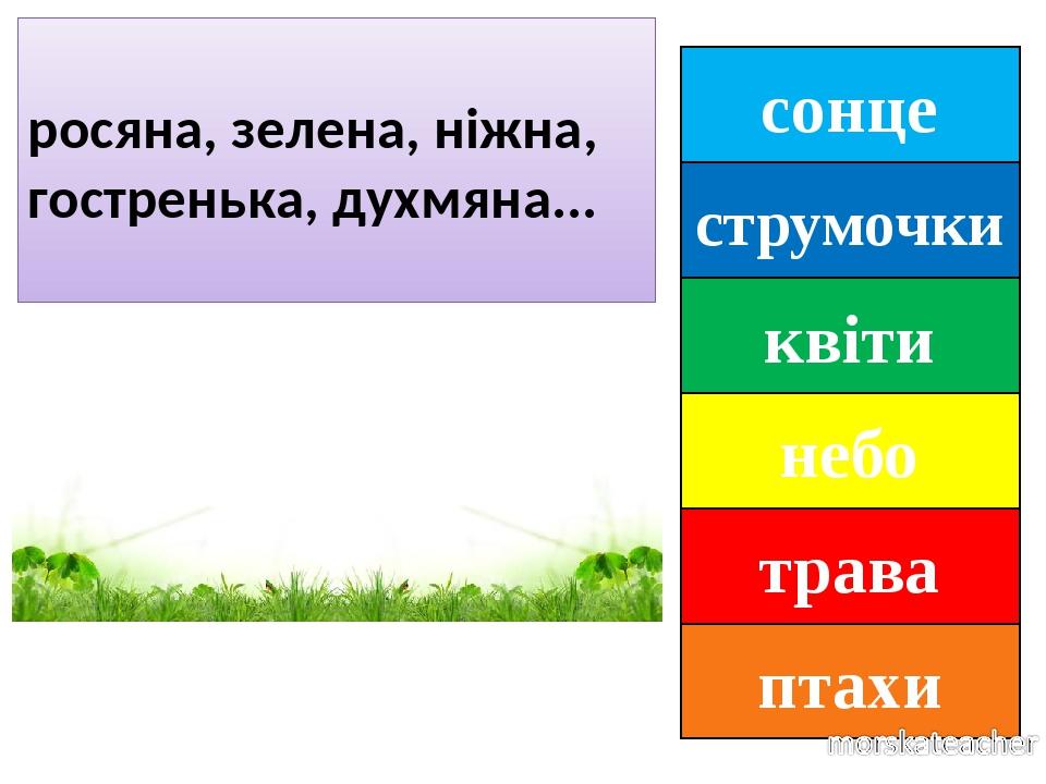 сонце струмочки квіти небо трава птахи росяна, зелена, ніжна, гостренька, духмяна...