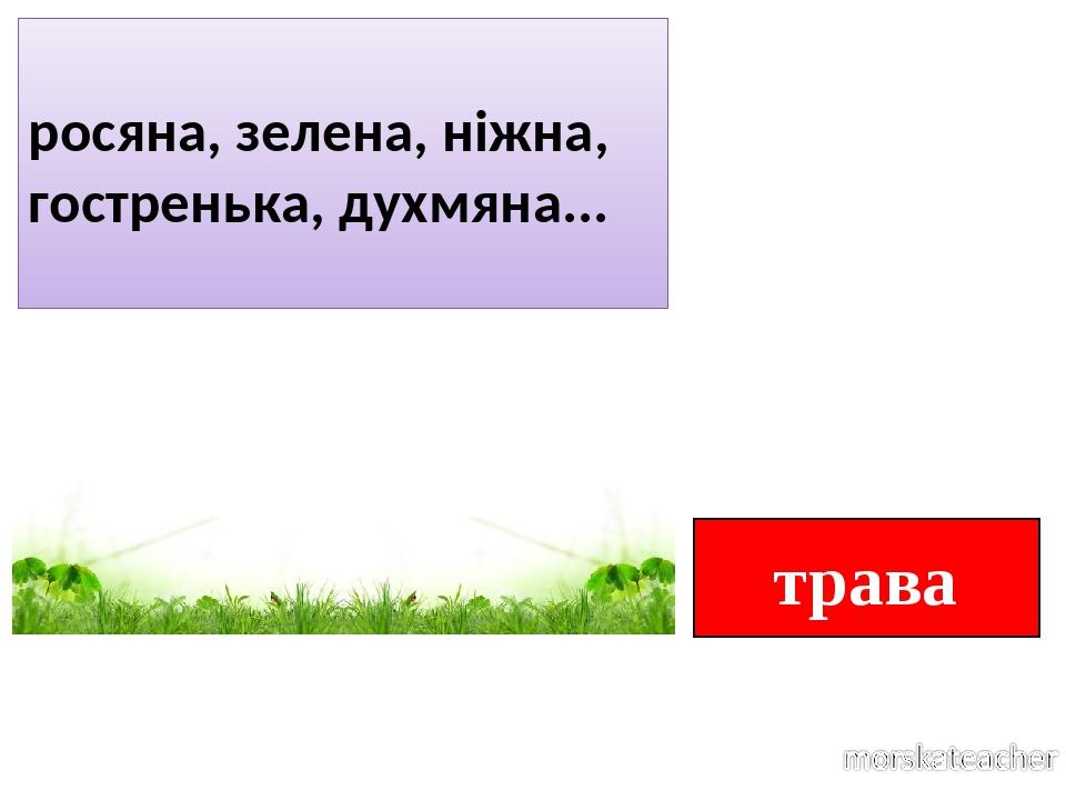 трава росяна, зелена, ніжна, гостренька, духмяна...
