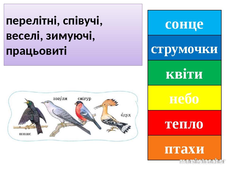 сонце струмочки квіти небо тепло птахи перелітні, співучі, веселі, зимуючі, працьовиті
