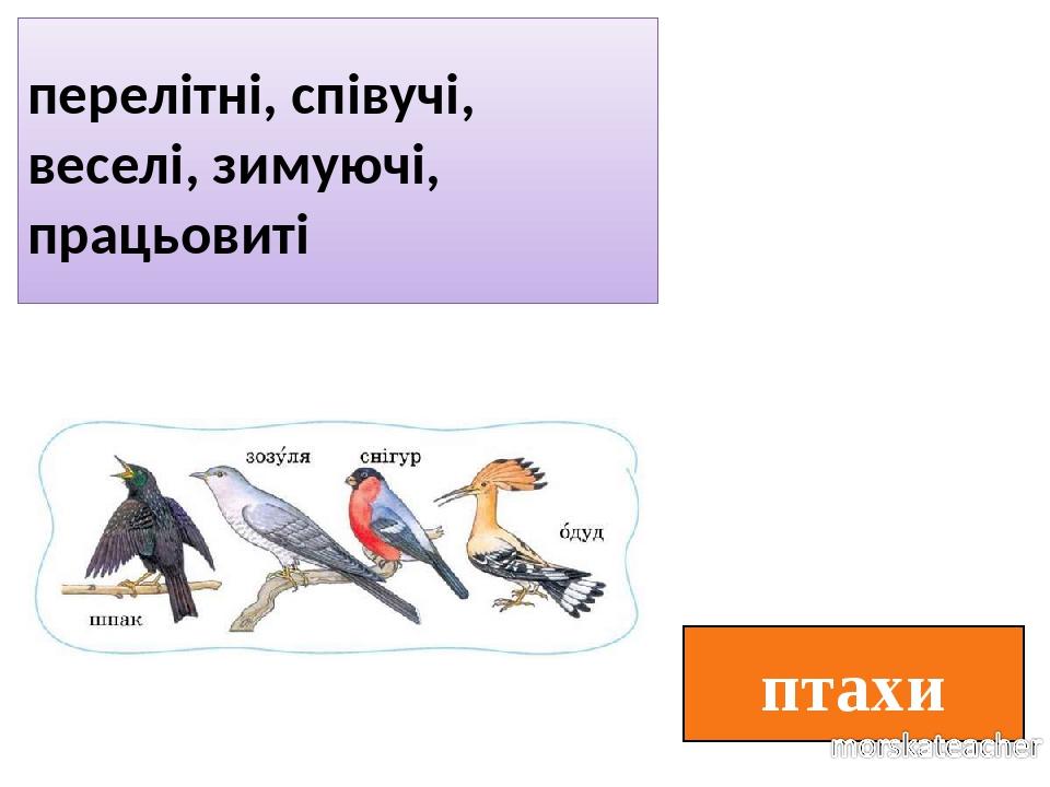 птахи перелітні, співучі, веселі, зимуючі, працьовиті