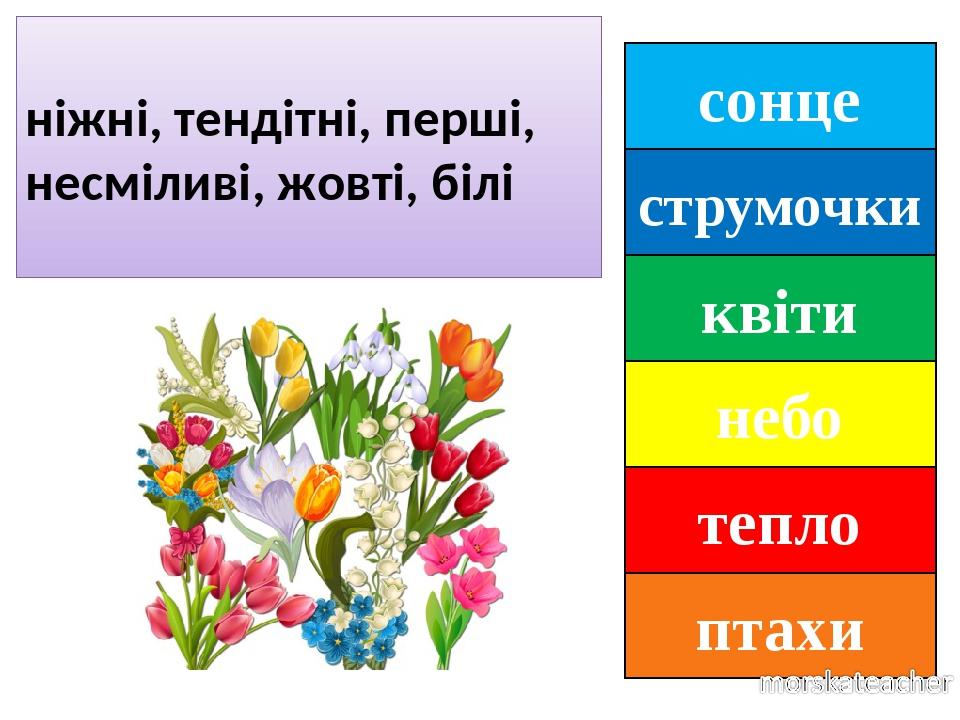 сонце струмочки квіти небо тепло птахи ніжні, тендітні, перші, несміливі, жовті, білі