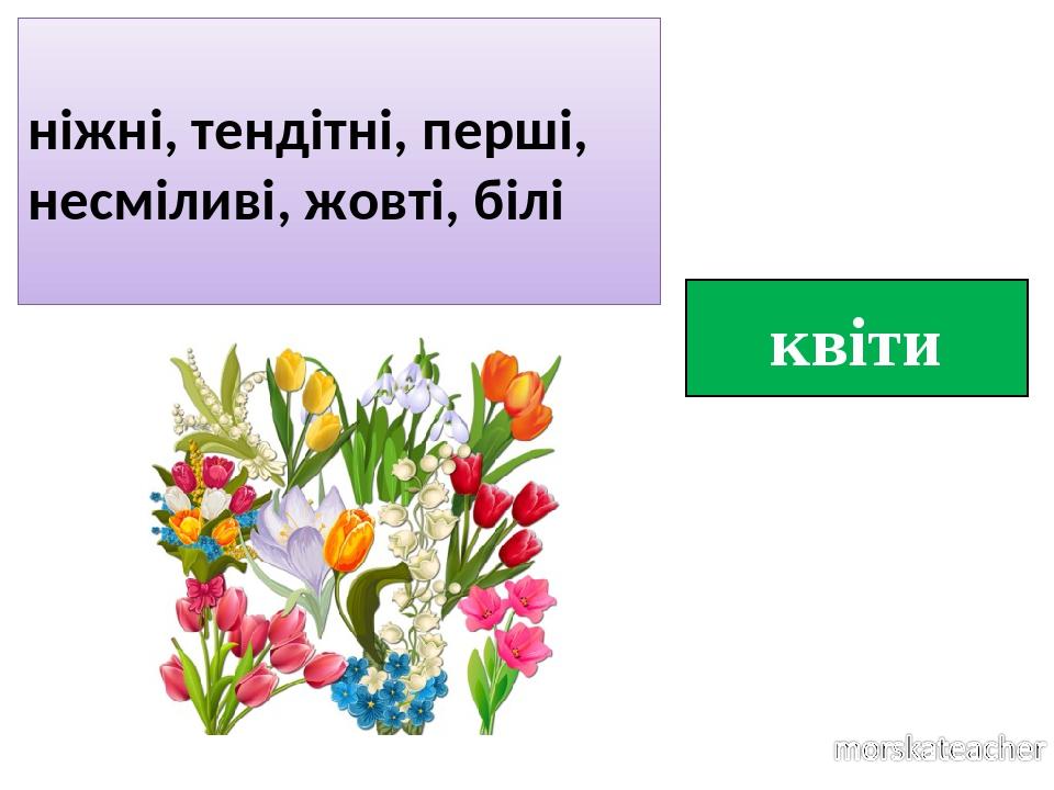 квіти ніжні, тендітні, перші, несміливі, жовті, білі