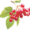 Аватар профіля