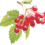 Берлет Марина