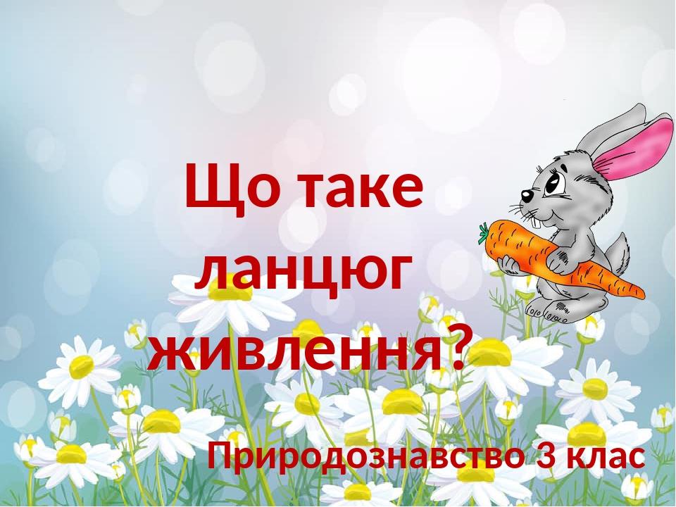 Що таке ланцюг живлення? Природознавство 3 клас