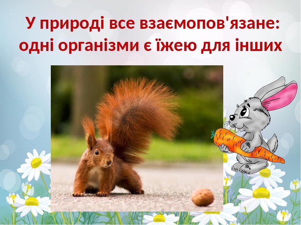 У природі все взаємопов'язане: одні організми є їжею для інших