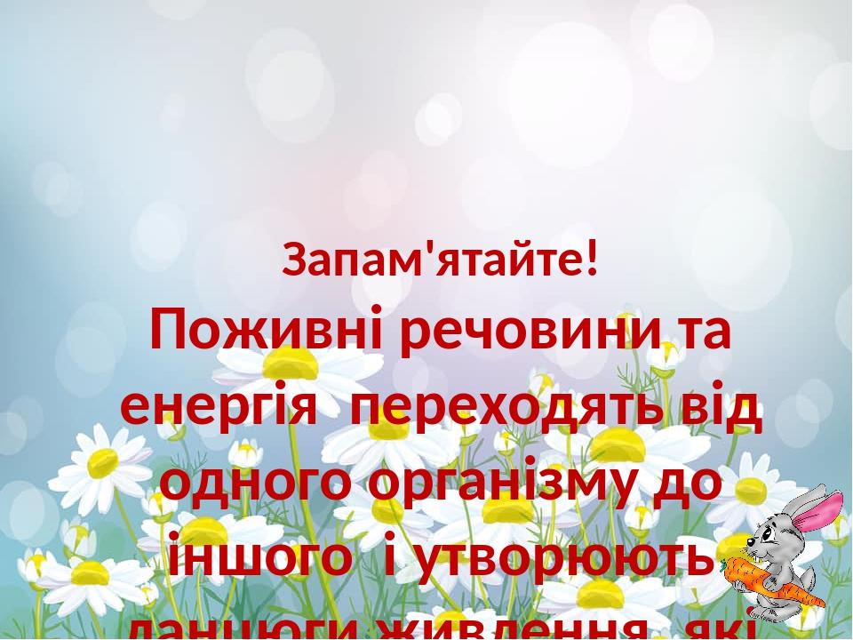 Запам'ятайте! Поживні речовини та енергія переходять від одного організму до іншого і утворюють ланцюги живлення, які пов'язують всі організми в од...