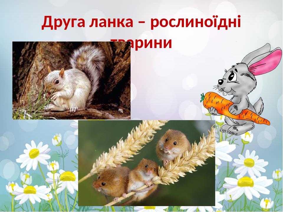 Друга ланка – рослиноїдні тварини