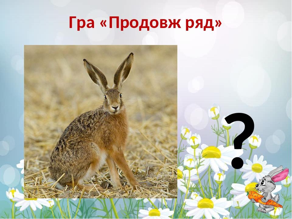 Гра «Продовж ряд» ?