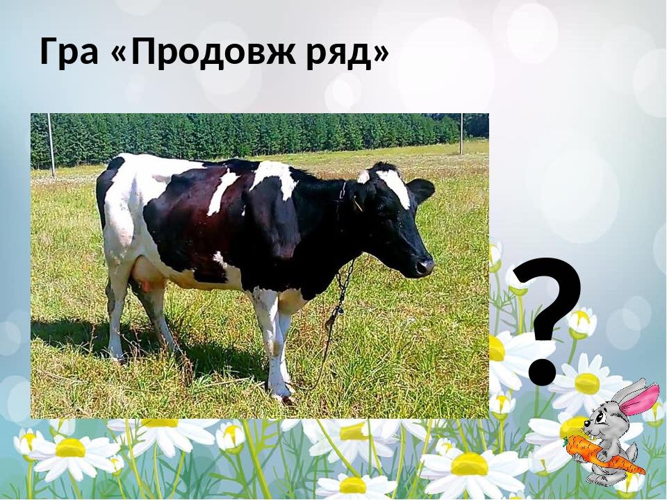 Гра «Продовж ряд» ?