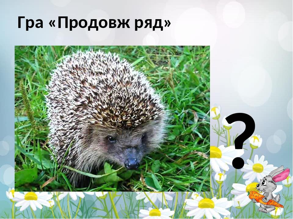 Гра «Продовж ряд» ?