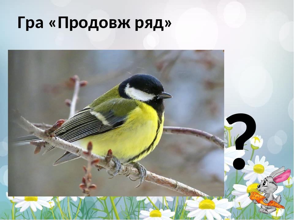 ? Гра «Продовж ряд»