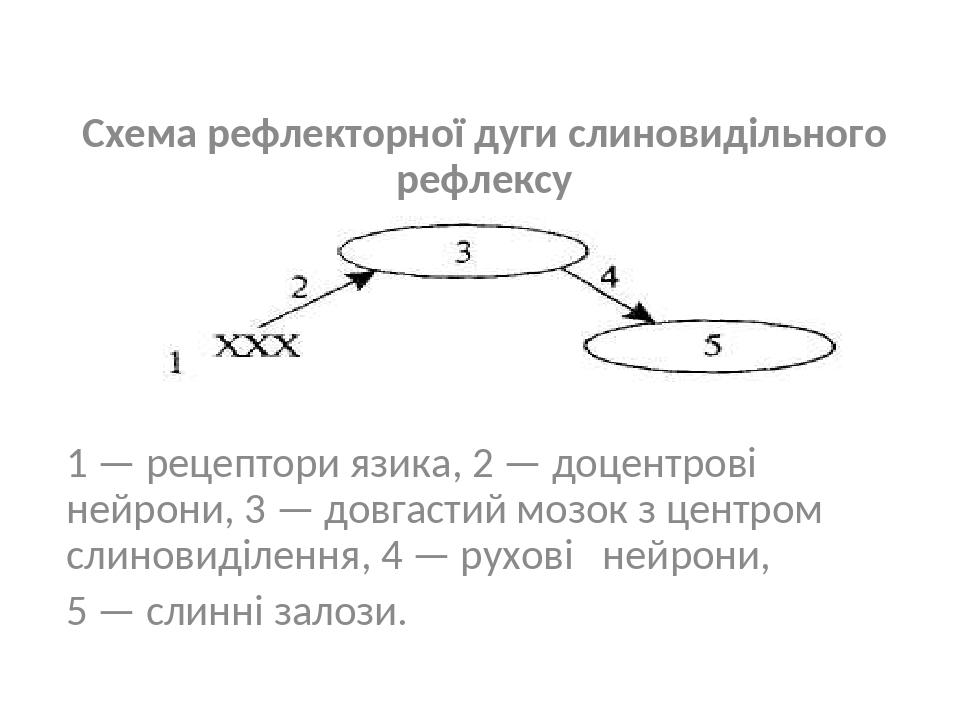 Схема рефлекторной дуги слюноотделительного рефлекса схема