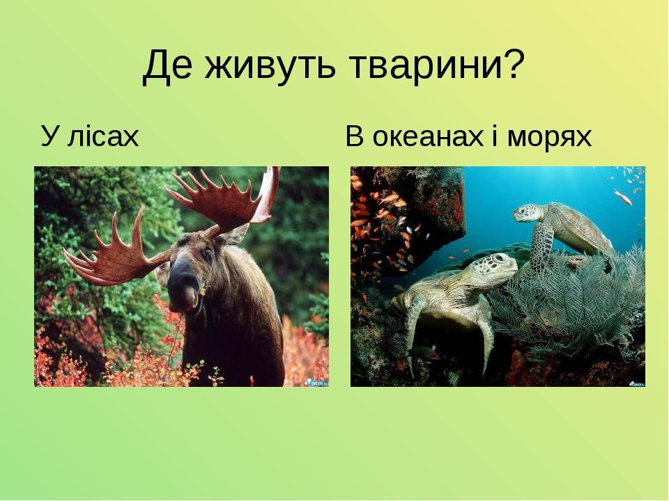 Де живуть тварини? У лісах В океанах і морях