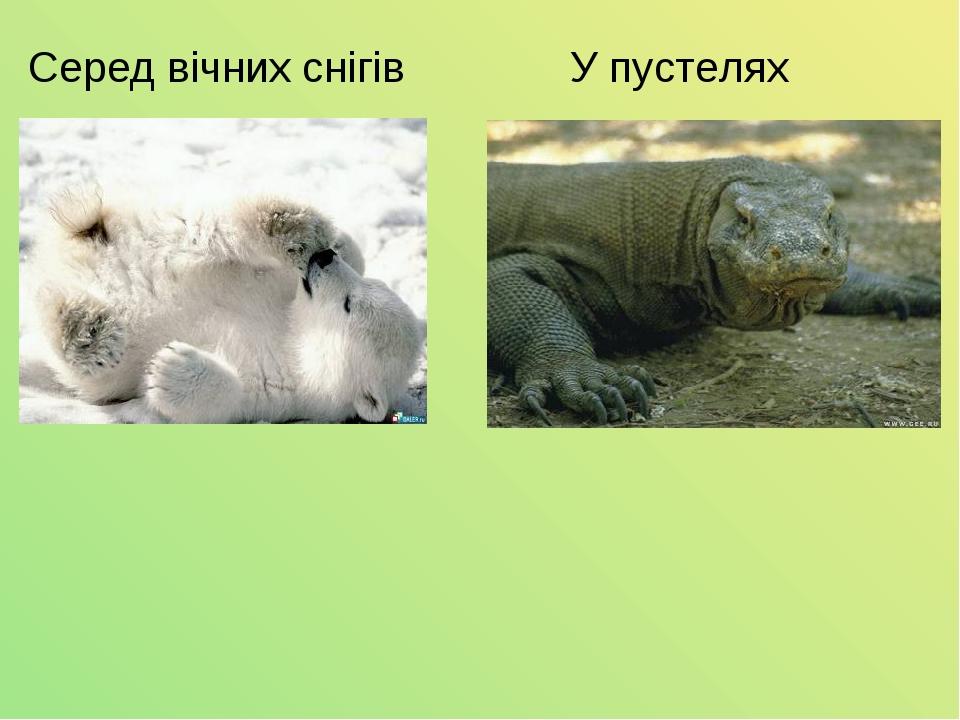 Серед вічних снігів У пустелях