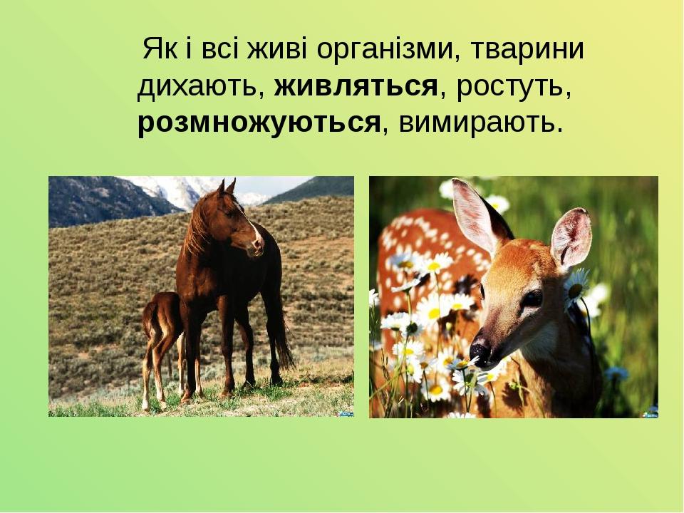 Як і всі живі організми, тварини дихають, живляться, ростуть, розмножуються, вимирають.