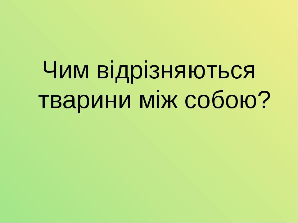 Чим відрізняються тварини між собою?